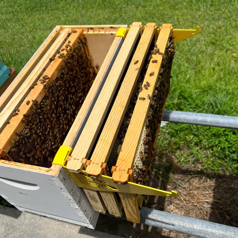 Beehive Inspection Bracket