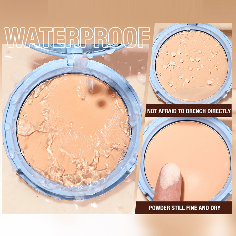 Summer Oil Control Matte Perfection Pressed Powder