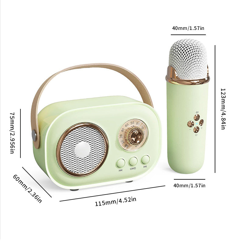 Mini Karaoke Machine & Bluetooth Speaker With Wireless Microphone