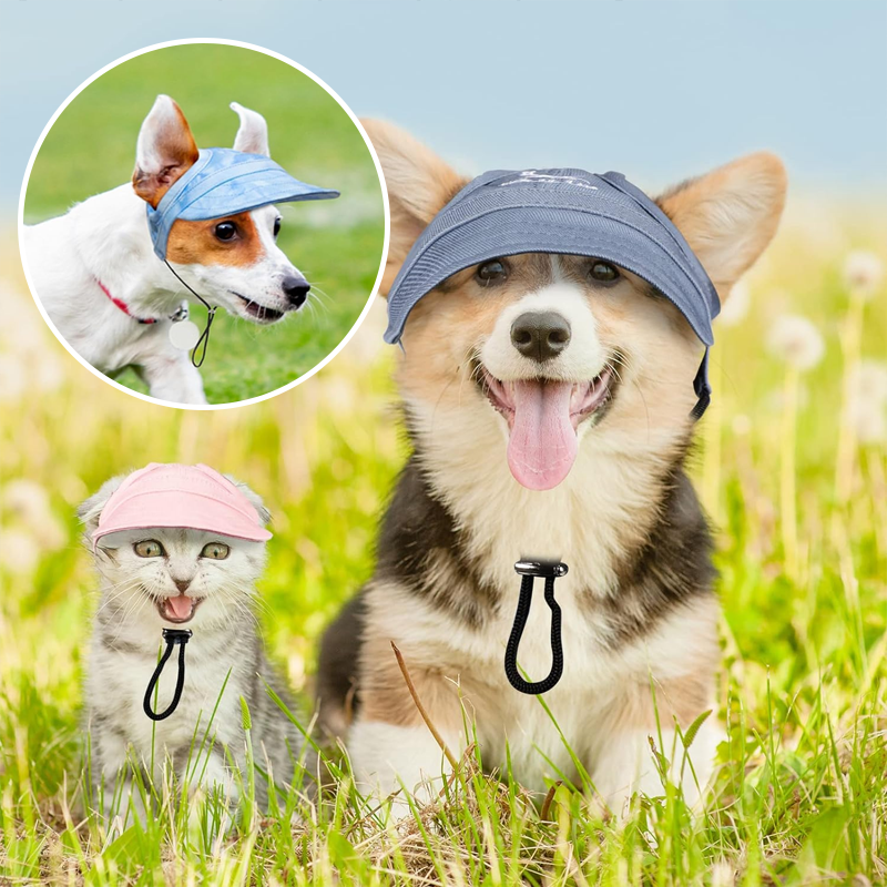 Outdoor Sun Protection Hood for Dogs